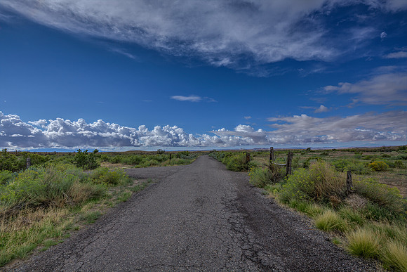 "Lonely Road"