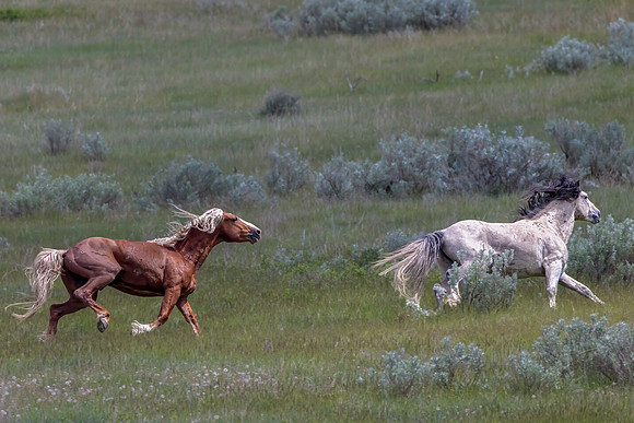"Hot Pursuit"