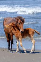 "Caring Mom"