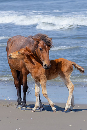 "Caring Mom"