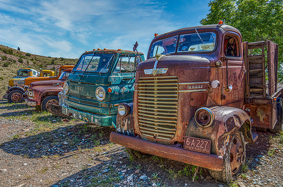 "Old Truck Lineup"