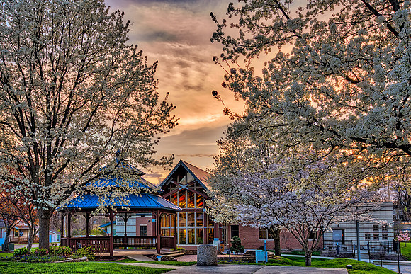 "Glen Carbon Library In Bloom"