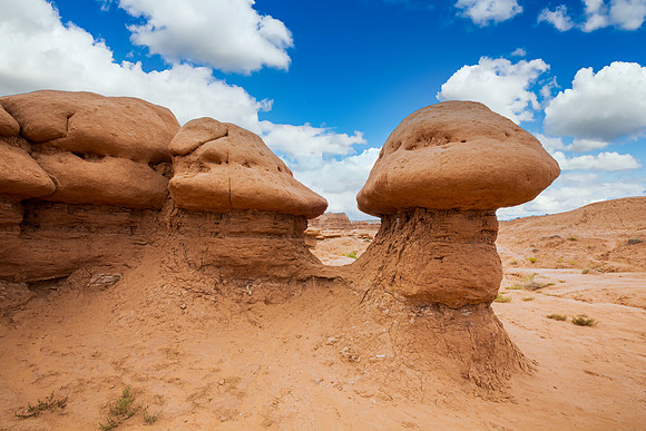 "Mushroom Hoodoo"