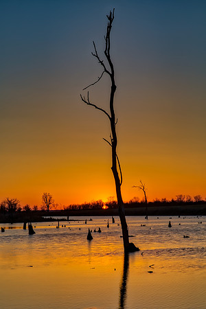 "Backwater Sunset"