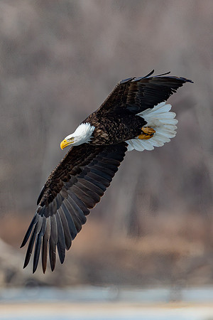 "On The Hunt"