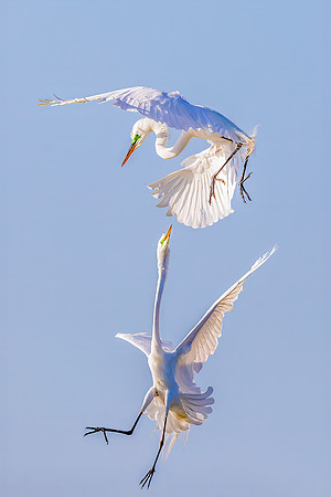 "Sky Dancing"