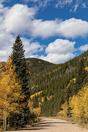 "Fall Day on Rollins Pass Road"