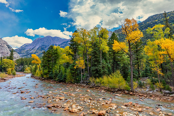 "Animas River In The Fall"