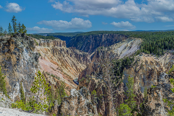 "Yellowstone Canyon View"