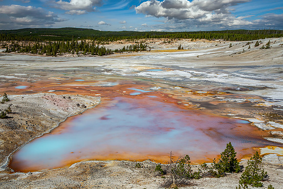 "The Colors of Norris"