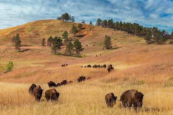 "Exiting The Hills"