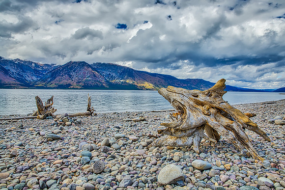 "Low Water In Coulter Bay"