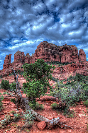 "Asscent To Cathedral Rock"