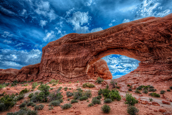 "North Window View"
